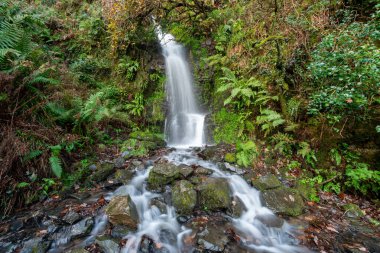 Woody Bay 'den Devon' daki Heddons Mouth 'a kadar Güney Batı Yakası' ndaki Hollowbrook şelalesinin uzun bir görüntüsü.
