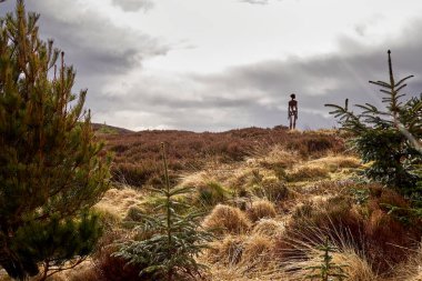 Bilinmeyen Borgie Ormanı, Sutherland İskoçya