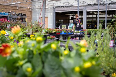 Utica, New York - 22 Mayıs 2021: Walmart Supercenter Bahçe Bölümü 'nde Bir Bayan Müşteri Çiçek ve Bitki Alıyor.