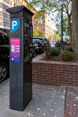 Syracuse, New York - 25 Eylül 2020: Park cezası makinesi P harfiyle tanımlandı.