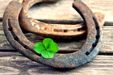 Hufeisen mit Gluecksklee 4 Baelttrig auf Holz