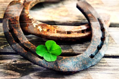 Hufeisen mit Gluecksklee 4 Blaettrig auf Holz