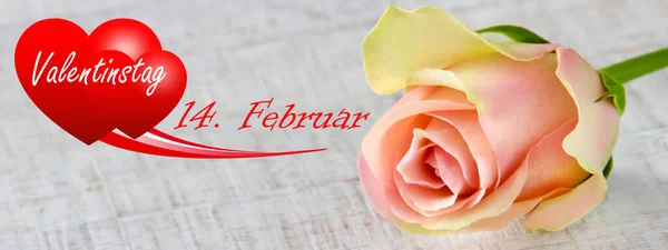 Valentinstagsrose Und Rote Herzen Auf Hölzernem Hintergrund Banner — Stockfoto