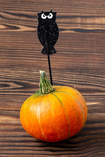 Abóbora Com Coruja Para Halloween Fundo Madeira Marrom Vertical — Fotografia de Stock