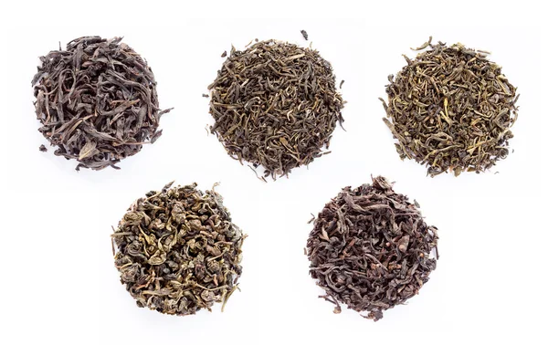 干茶的分类 — 图库照片
