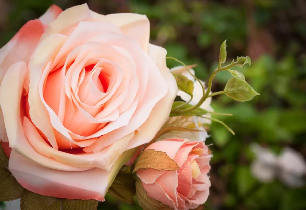 Розы для свадебной церемонии — стоковое фото