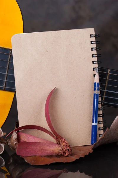 日记与吉他的三环活页夹 — 图库照片