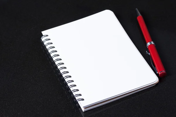 Deník a červené pero — Stock fotografie