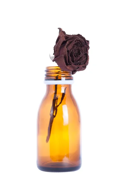 Сушеная роза в стеклянной бутылке — стоковое фото