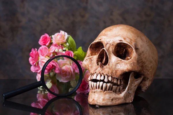 Magnifying glass, artificial flowers with skull — Stock Photo, Image