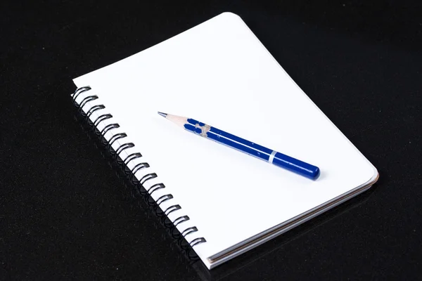 Öppen dagbok och penna — Stockfoto