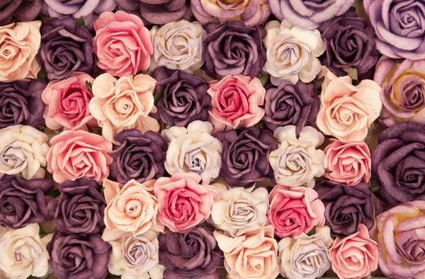 Fondo de rosas de colores — Foto de Stock