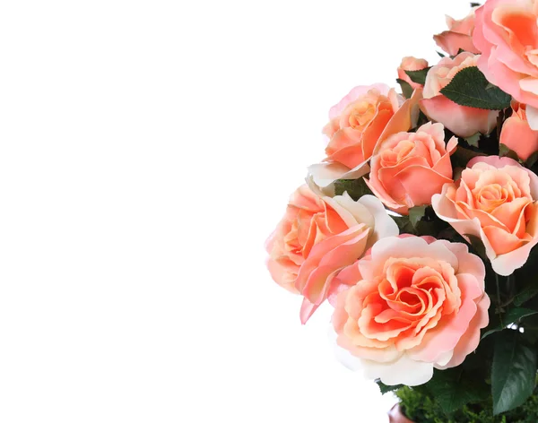Bouquet of pink Roses — Stock Photo, Image