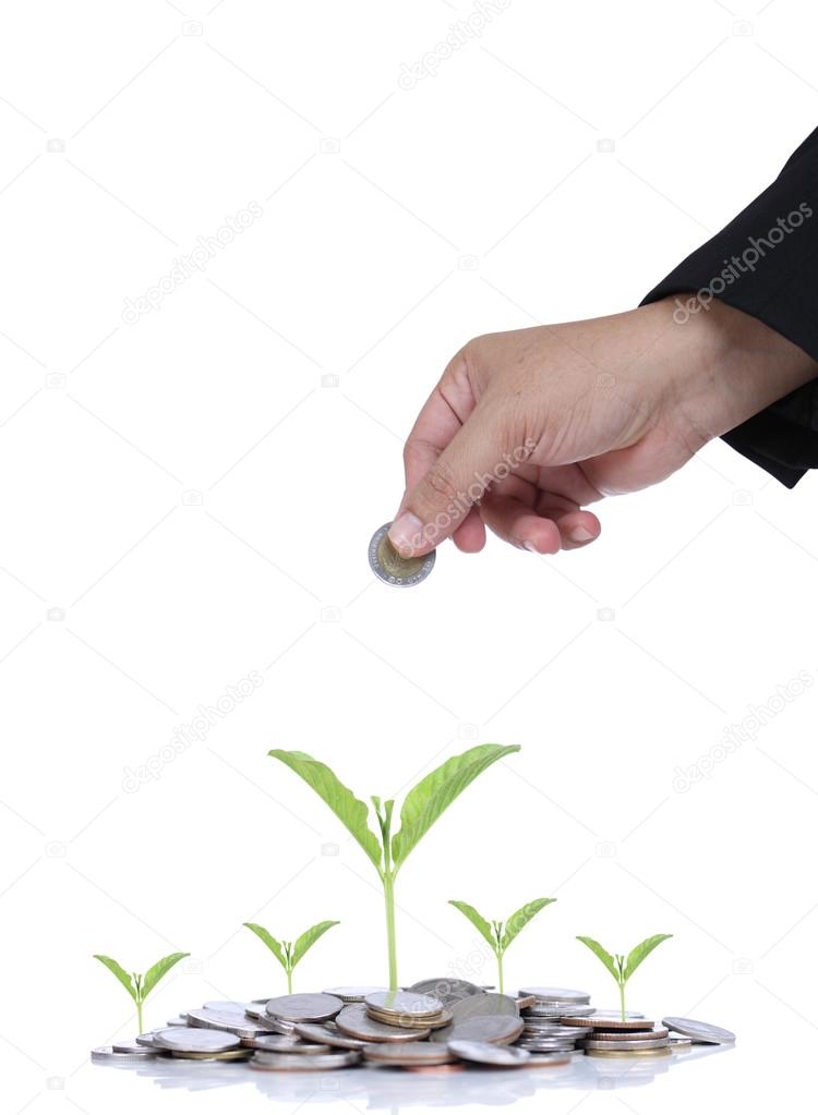 Investing of coins to small green plant