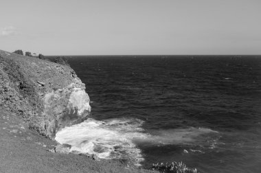 Bu görünüm yalnızca bir adadan