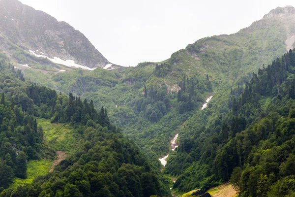 Berge mit Wald bedeckt — Stockfoto