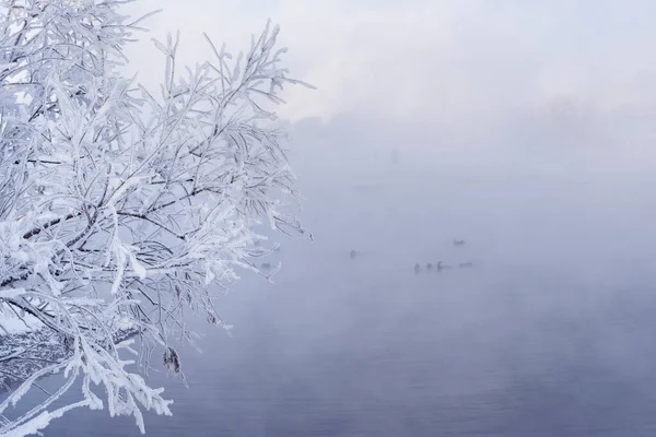 Morgen Auf Dem Fluss Winterlandschaft — Stockfoto