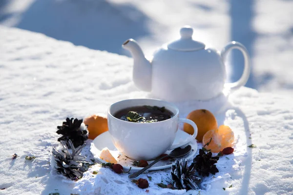 Cup Hot Tea Honey Herbs Tangerines Winter Forest Snow Concept — Stock Photo, Image