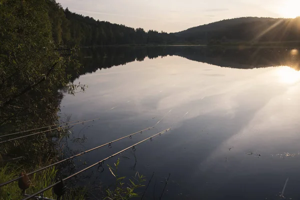 Rybaření Kaprů Profesionální Rybářské Vybavení Rybářské Pruty Jezeře — Stock fotografie