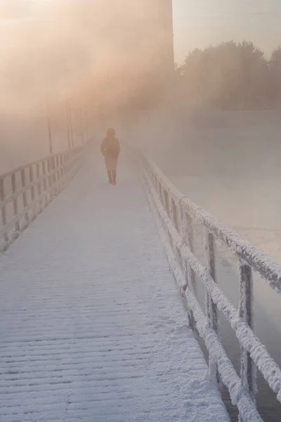 Woman Walks City Snowy Winter Day — Stock Photo, Image