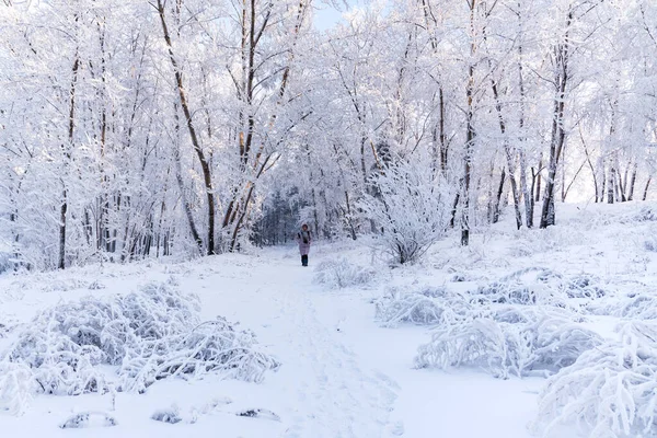 Woman Walking Snow Winter Park Winter Time Landscape — Stock Photo, Image