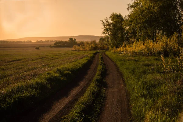 夏天日落时分 泥泞的路 美丽的夏季风景 — 图库照片