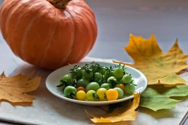 Small tomatos and pumkin with autumn leaves — Stock Photo, Image