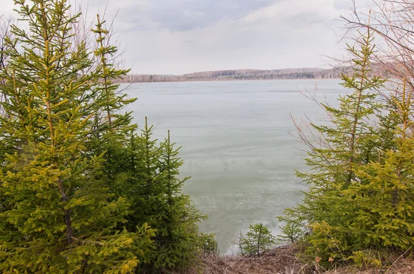 Jezero pokryté ledem - zimní krajina — Stock fotografie