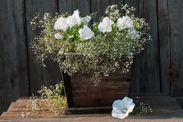 Verse tuin witte petunia boeket in houten vaas op houten tafel — Stockfoto