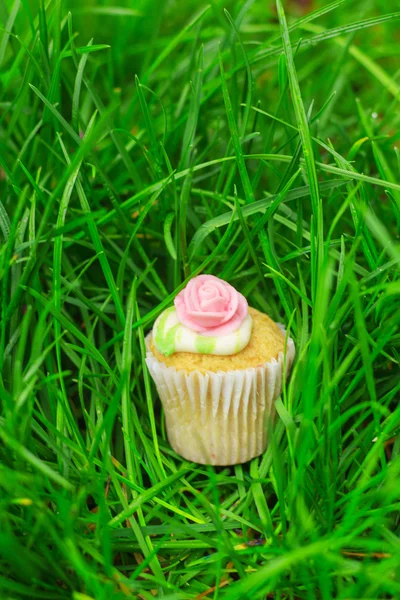 Leckerer süßer Kuchen liegt im grünen Gras — Stockfoto