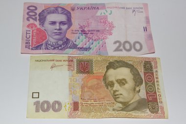 kaç para birimi banknotlar