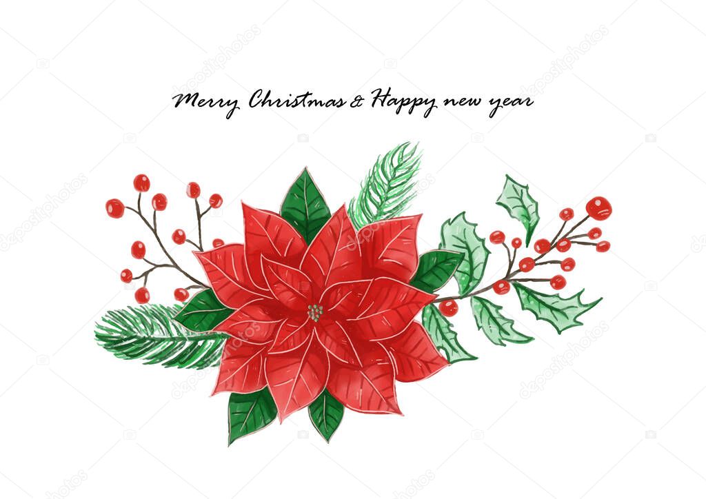 Merry Christmas and happy new year festival with poinsettia flower or Christmas Star and Christmas plant watercolor background vector 