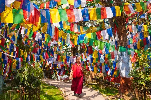 Monge tibetano entre bandeiras coloridas — Fotografia de Stock