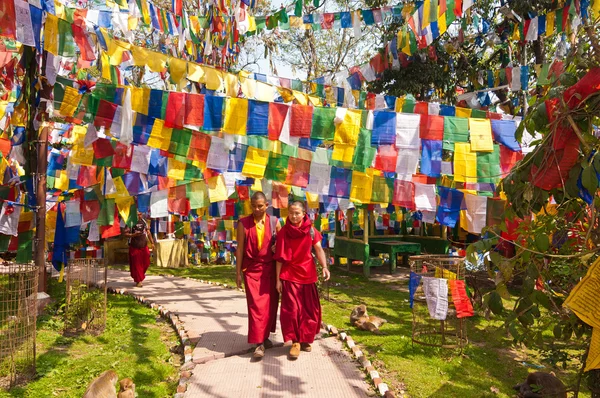Тибетские монахи, Дарджилинг — стоковое фото