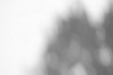 Duvardaki Çalı Örtüsü Arkaplanı, Ürün Sunum Arkaplanı, Görüntü ve Moda İçin Uygun.