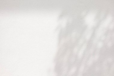 Duvar dokusu Arkaplanında Gölge Bırakır, Ürün Sunumu için Uygun Arkaplan, Görünüm ve Modifiye Eder.