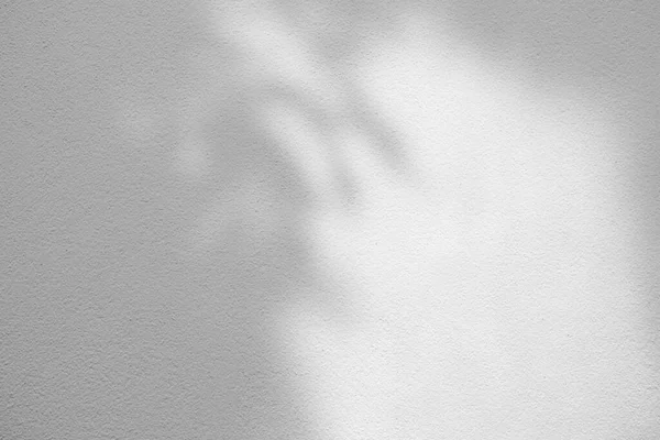 Duvar dokusu Arkaplanında Gölge Bırakır, Ürün Sunumu için Uygun Arkaplan, Görünüm ve Modifiye Eder.