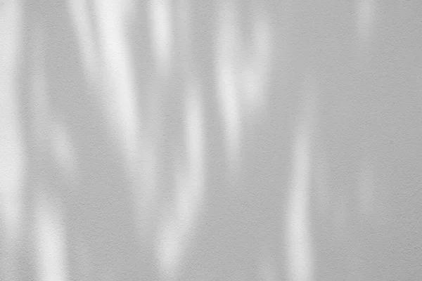 Stín Stromu Pozadí Textury Stěny Vhodný Pro Prezentaci Produktu Backdrop — Stock fotografie