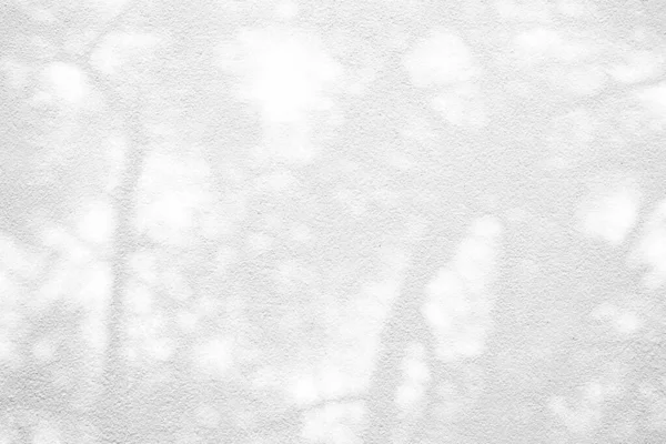 Tree Shadow Wall Texture Baggrund Velegnet Til Produktpræsentation Baggrund Display - Stock-foto