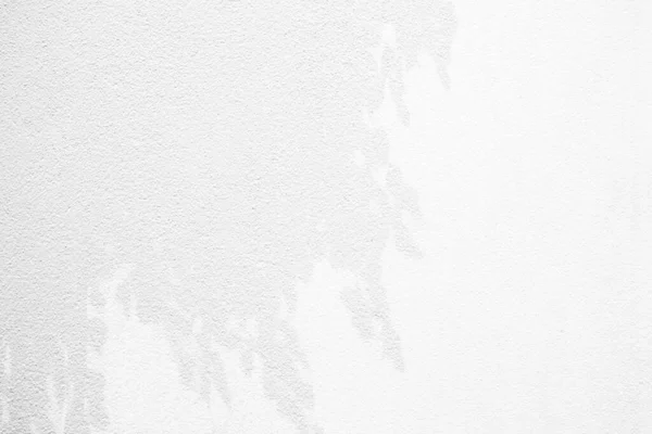 Árvore Sombra Fundo Textura Parede Apropriado Para Pano Fundo Apresentação — Fotografia de Stock