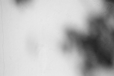 Çatlak Duvar Doku Arkaplanı Ağaç Gölgesi, Ürün Sunumu, Görüntü ve Moda İçin Uygun.