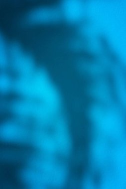 Mavi Beton Duvardaki Hindistan cevizi Yaprakları Dikey Biçimli, Ürün Sunumu, Mockup ve Cep Telefonu Arkaplanı İçin Uygun.