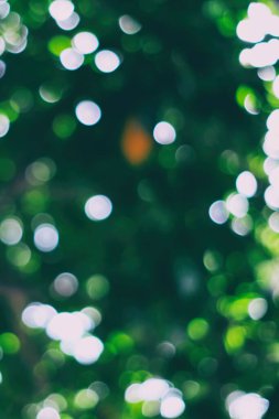 Dikey Biçimli Karanlık Doğal Bokeh Arkaplanı, Cep Telefonunda Ürün Sunumu, Mockup ve Arkaplanı İçin Uygun.