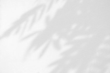 Çatlak Duvar Doku Arkaplanı Ağaç Gölgesi, Ürün Sunumu, Görüntü ve Moda İçin Uygun.