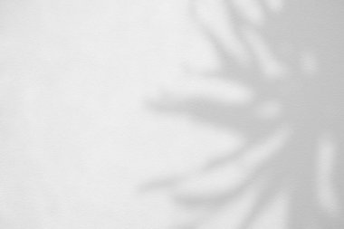 Çatlak Duvar Doku Arkaplanı Ağaç Gölgesi, Ürün Sunumu, Görüntü ve Moda İçin Uygun.