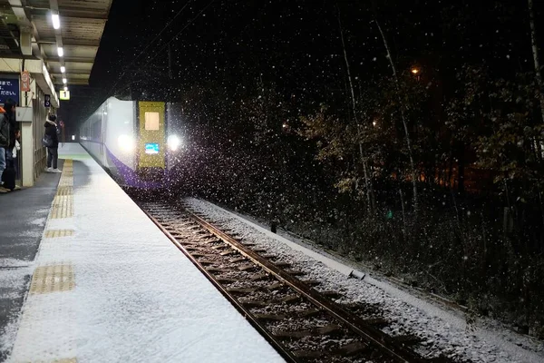 2019年11月16日 北海道铁路公司运营的日本北海道火车站在哪里的Minami Chitose车站降雪 — 图库照片