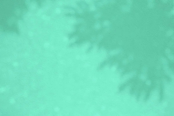 Deixa Sombra Superfície Aqua Menthe Green Paint Concrete Wall Background — Fotografia de Stock