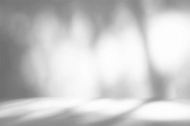 Ağaç Gölgesi ve Bokeh, Beton Odanın Arkaplanındaki Bahçede, Ürün Sunumu, Ekran ve Moda İçin Uygun.