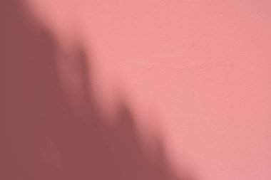 Pembe Beton Duvardaki Ağaç Gölgesi Doku Arkaplanı, Ürün Sunumu, Görünüm ve Moda İçin Uygun.