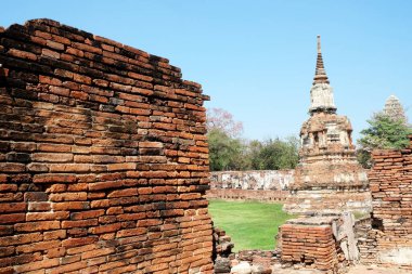 Ayutthaya ilinin ünlü tarihi simgesi olan Antik Wat Mahathat Tapınağı 'ndaki Stupa Enkazı, Tayland.